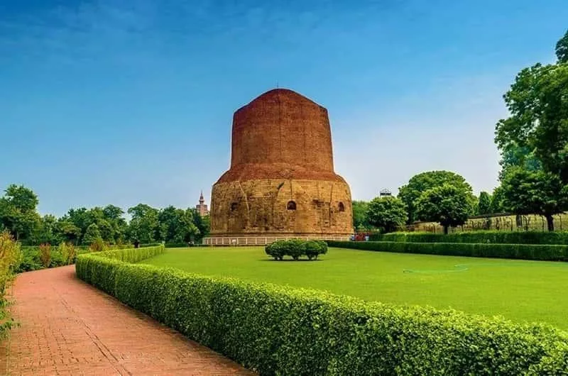 Sitting Under the Bodhi Tree — What Enlightenment Feels Like